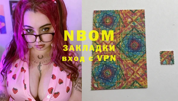 индика Белокуриха