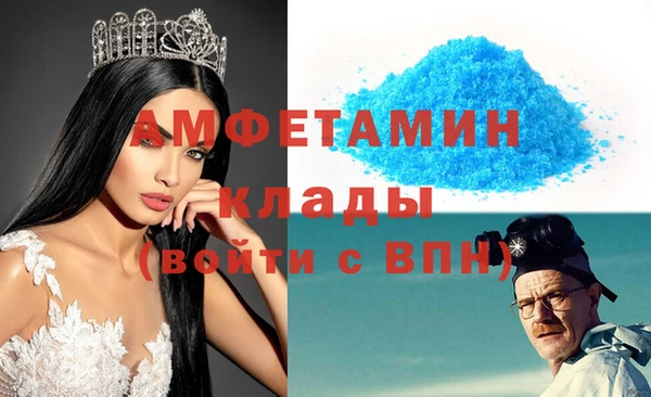 индика Белокуриха