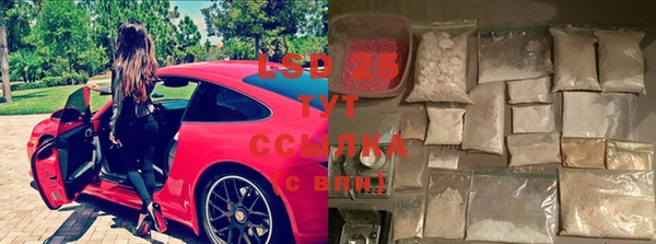 индика Белокуриха