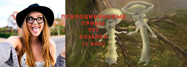 индика Белокуриха